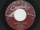 '54 Chicago R&B/DooWop EL RAYS (Dells) Darling I Know/Christine CHECKER VG+ HEAR