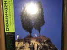 Elvis Costello & The Attractions - Goodbye Cruel World W/Obi ????????