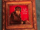 TALKING HEADS - NAKED LP / 1988 Sire / gatefold w/ orig lyric sleeve