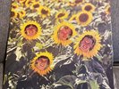 RARE USED LP VINYL RECORD: Sunnyboys - Individuals