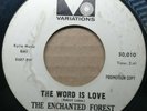 THE ENCHANTED FOREST 