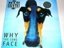 BIG COUNTRY 'WHY THE LONG FACE' LIMITED EDITION 1995 STEREO LP EX/EX