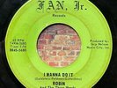 1966 Robin and the Three Hoods “I Wanna Do It” 45 on Fan, Jr. • WI rock