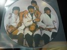 BEATLES-CASUALTIES LP BUTCHER Cover PICTURE DISC  PROMO RARE