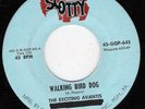 EXCITING AVANTIS  SCOTTY 645 WALKING BIRD DOG   VG +++  RARE GREAT PA GARAGE