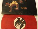 Babes In Toyland Fontanelle Ltd Red Coloured Vinyl LP ROCK / Grunge