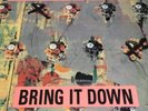 Madder Rose Bring It Down LP Indie Rock Record Vinyl Seed