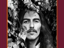 NEW George Harrison 180gm Vinyl Box 16 LP / 2 x 12