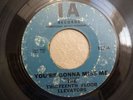 13th Floor Elevators - You're Gonna Miss Me / Tried to Hide - IA Psych 45 HEAR