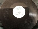 Leftfield Leftism Acetate