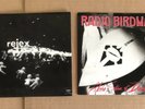 Radio Birdman 7