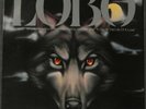 LOBO - Where Were You When I Was Falling In Love - Vintage Vinyl LP record NM