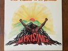 Bob Marley & The Wailers ?– Uprising 1980 Island Reggae Vinyl Record Lp