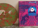 THE SEEING EYE GODS PICTURE DISC 1985 Epitaph Records Bad Religion Status Quo