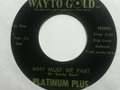funk soul 45 PLATINUM PLUS Why Must We Part  WAY TO GOLD listen