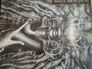 Danzig How the gods kill LP Vinyl Signiert  1992 Def American