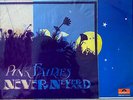 RARE PRIVATE PROG HARD ROCK LP PINK FAIRIES NEVER NEVERLAND OG UK PVC SLEEVE