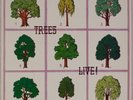 TREES: Live  (On the Shore) Rare UK Psych Folk LP NM Vinyl Rare