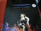 KATE BUSH : Moments Of Pleasure 12