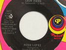 ROSIE LOPEZ I’ll Never Grow Tired PULSAR 45 sweet soul northern HEAR