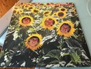 SUNNYBOYS-INDIVIDUALS-1982 AUS VINYL RECORD
