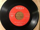 HENRY HAYES 45 Hog Grunt HOUSTON TEXAS 1959 R&B JAZZ BLUES INSTROS on ZEBRA
