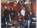Rock 45 COUNTING CROWS Mr Jones GEFFEN VG+ uk picture sleeve *
