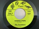 The Caretakers - Hidden Steps - WORM 1001 Orig 1966 USA Garage Psych Punk FUZZ