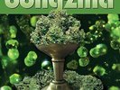 BONGZILLA - STASH NEW VINYL