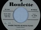 Rockabilly 45 JIMMY LLOYD Where the Rio de Rosa Flows ROULETTE VG+ promo HEAR *