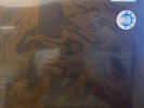 Sunn O))) ?   3: Flight Of The Behemoth    2 × Vinyl, LP, Album, Limited Edition