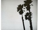 The Twilight Singers Blackberry Belle White Vinyl 1st Pressing