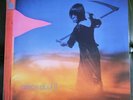 Amon Düül II - Yeti, Used Vinyl. Excellent Condition. 2008 Reissue.