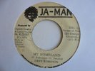 DAVE ROBINSON My Homeland JA MAN Nice  70's Roots Reggae 7