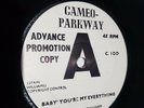 Little Jerry Williams ?– Baby You're My Everything Northern Soul UK PROMO