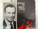 JIMMY ALLEN WHAT IS HELL LIKE VINTAGE VINYL LP CHRISTIAN EVANGELIST BIBLE SERMON