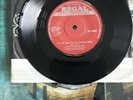 tyrannosaurus rex by the light of the magical moon  45   marc bolan  rz3025