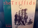 THE TRIFFIDS.    