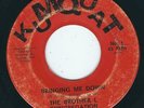 TX Garage Psych - Brother L Congregation KUMQUAT 1 Bringing me down ?