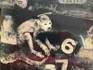 Pixies Monkey Gone To Heaven 12