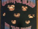 Grateful Dead In The Dark Alternate Upside Down Eyes Lp