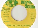THE MANDELLS How To Love A Woman TRANS WORLD CHICAGO NORTHERN SOUL USA 45
