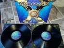 WHITESNAKE 