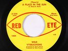 Garage/Fuzz 45 - Wild Vybrashons - (There's) A Place In The Sun - Red Eye - mp3