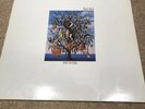 Talk Talk - Spirit Of Eden Vinyl 1985 VG Parlophone