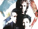 LP, MECANO - DESCANSO DOMINICAL
