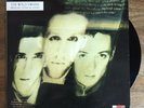 The Wild Swans - Bringing Home the Ashes 12” Vinyl Record LP