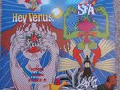 Super Furry Animals Hey Venus VINYL LP great condition