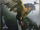 ID34z - Budgie - In For The Kill  - MCF 2546 - vinyl LP - uk