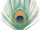 ID800z - XTC - Apple Venus Volume 1 - vinyl LP - New